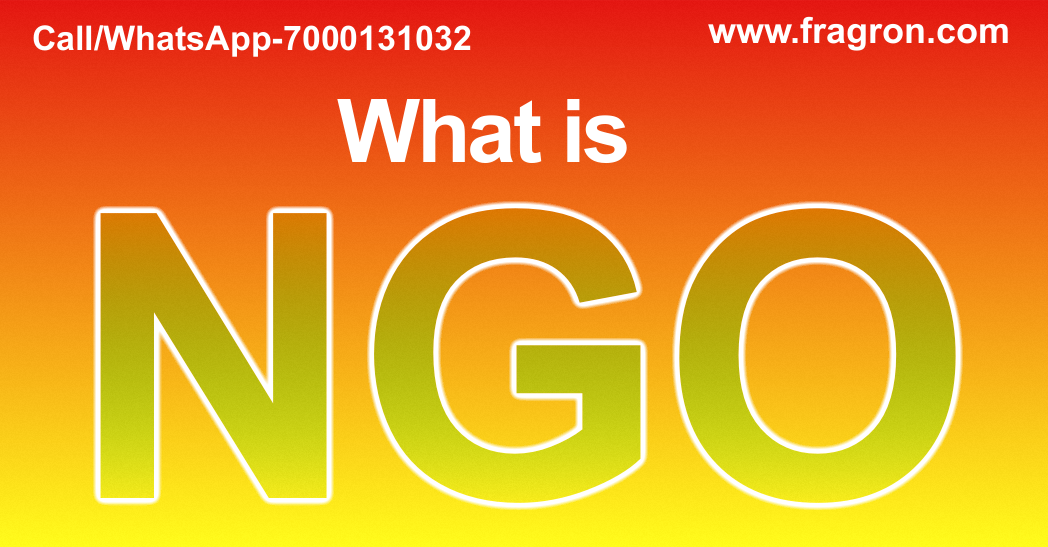 What is NGO ?